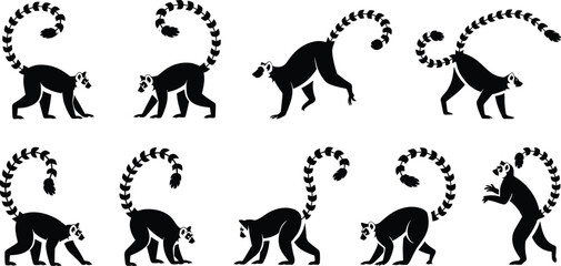 Ring-tailed lemur silhouette set, walking, climbing, crouching poses, black vector animal illustration, wildlife design, educational, isolated, white background