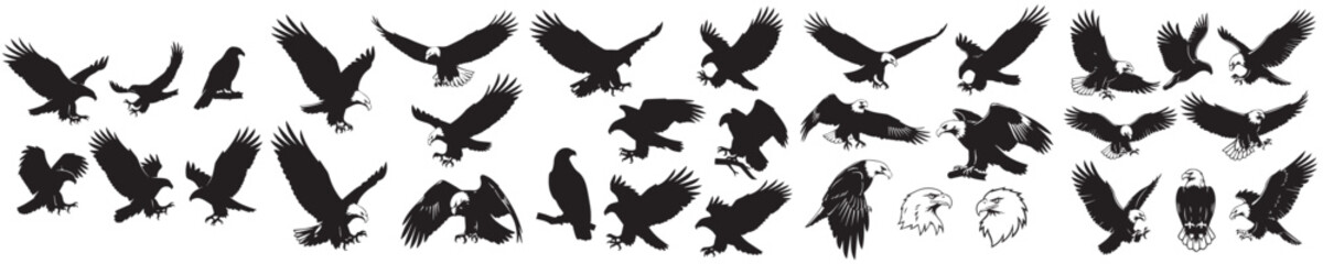 Obraz premium Set of eagle silhouette vectors