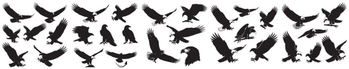 Obraz premium Set of eagle silhouette vectors