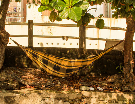 A homeless man sleeps in a hammock between two trees on São Marcos beach, in the city of São Luís, capital of the state of Maranhão, northeastern Brazil.