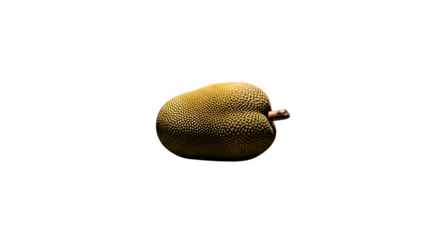 A single, ripe breadfruit rests on a clean white background, showcasing its textured skin and unique shape.