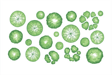 Collection of green trees seen from above in a top down view top view overhead view