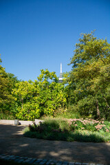 Lush green park with tower and clear blue sky