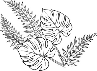 black and white flowers