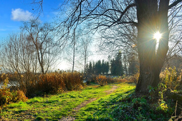 Autumn day on the lake shore.
The rays of the sun passing through the tree.