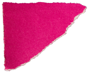 Ripped torn pink paper piece on transparent background, paper tear cut out design element