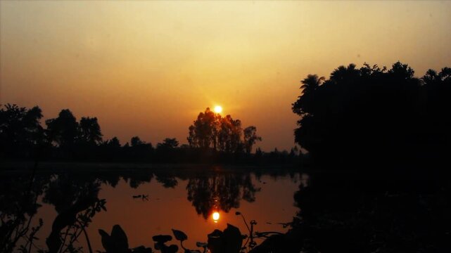 The sun floats in the sky above the big tree. Good and beautiful reflect with silhouette all around. The sun floats in the sky above the big tree. Shining light on the surface morning.