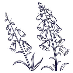 foxglove vector © MOHAMMADRIPON