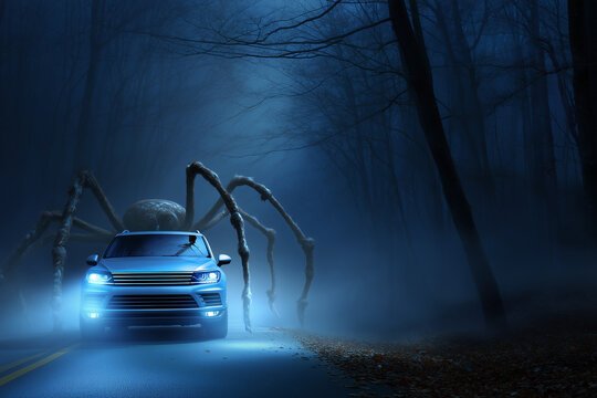 Car driving in the night