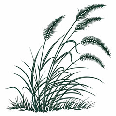 fountain grass green vector