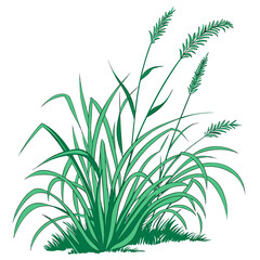 fountain grass green with leaves
