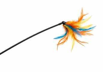 Colorful Feather Cat Teaser Toy Isolated on White