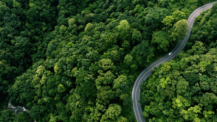 Aerial view of a road in the middle of the forest , road curve construction up to mountain