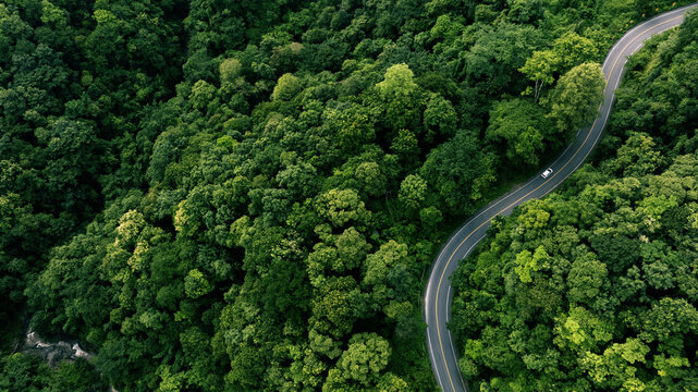 Fototapeta Aerial view of a road in the middle of the forest , road curve construction up to mountain