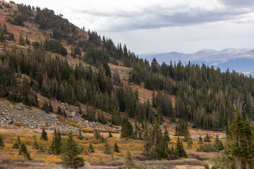 Autumn hues sweep across the forested hillsides surrounding Breckenridge.