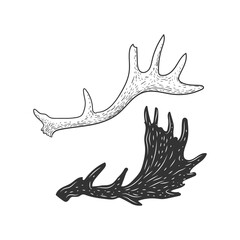 Hand Drawn Sketch Style Deer Reindeer Antler Elk Moose Horn Illustration