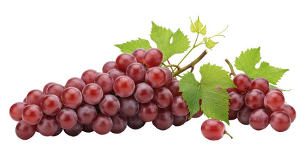 Isolated fresh bunch of ripe red grapes with leaves, healthy eating, organic produce