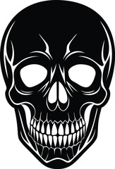 human skull vector illustration