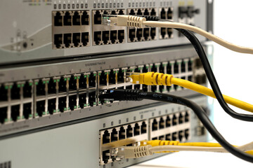 Close-up of multiple Ethernet cables plugged into network switch ports, representing internet connectivity, IT infrastructure, and data communication technology.