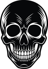 human skull vector illustration
