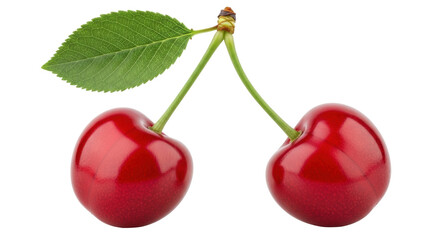 Isolated Two ripe cherries with a leaf linked at the stems as one bunch fresh fruit