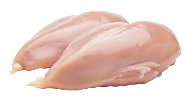 Isolated raw chicken breast fillet, poultry meat for cooking, healthy diet protein food
