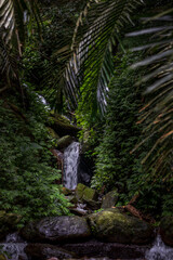 A beautiful waterfall hidden in the forest