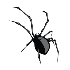 spider animal insect flat vector