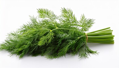 freshly picked dill weed sprigs