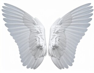 Obraz premium Large White Angel Wings Isolated on White Background