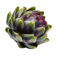 Fototapeta premium Artichoke healthy green vegetable for cooking 