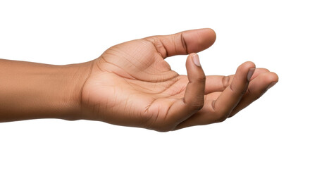 Isolated hand reaches out, holding something invisible, palm up, medium skin tone