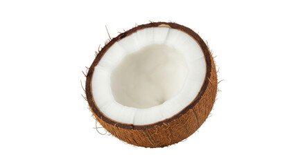 Isolated halved tropical coconut, cross section with brown husk, ready for use and consumption