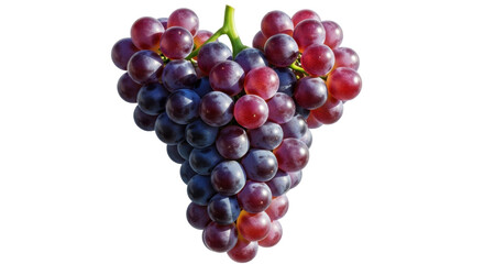 Isolated close-up of a luscious bunch of dark reddish-purple grapes ready to be enjoyed as food