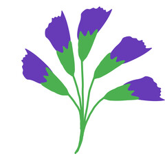Stylized illustration of buds of blue-violet flowers, Graphic hand-drwan art