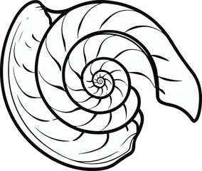 Obraz premium Minimalist line art of a seashell with spiral pattern 2