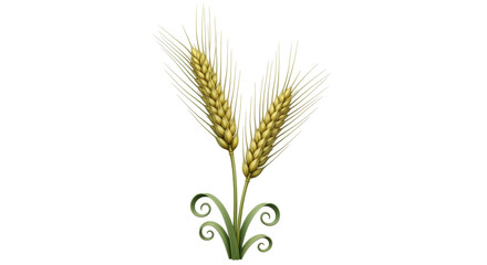 Isolated wheat ears of ripe cereal grain plant for agriculture and farming harvest season