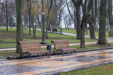 Benches in the alley in the park on a rainy day