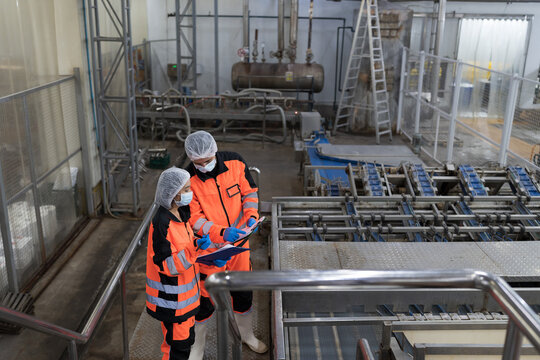 Conveyor belt, production, team of engineer factory. Group of plant engineer checking, maintaining of seafood processing conveyor belts - Powered by Adobe
