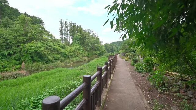 A Peaceful Journey on a Riverside Trail in a Summer Park, Surrounded by Lush Trees and Nature