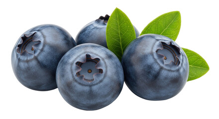 Isolated sweet blueberries with green leaves for a refreshing and healthy eating concept