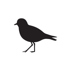 Plover bird silhouette vector flat illustration design on white background