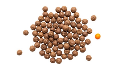 Isolated pile of buckshot showing one orange sphere, implying a difference in the group