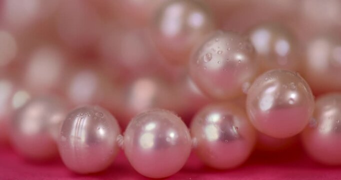 unpolished irregular shaped pearls from a marine mollusk covered with water droplets used in the manufacture of women's jewelry beads, a wet necklace made from natural pearl beads strung on a string