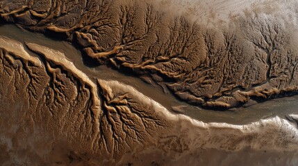 River Tributaries in Eroded Mud Terrain