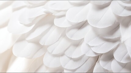 finesse. Close-up of a delicate white feather wing, showcasing intricate details in soft, focused light. wildlife magazines, conservation campaigns, designed for nature documentaries and education.