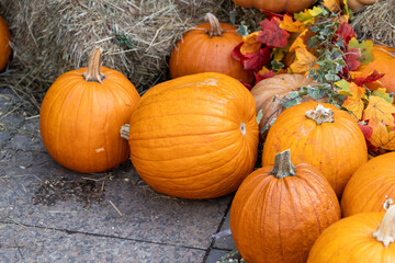 Autumn harvest display of bright pumpkins on hay and stone at the golden autumn festival in moscow, russia, october 1, 2025, manezhnaya square