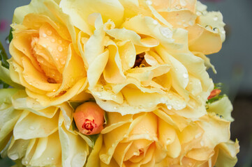 Yellow roses in full bloom with water droplets on petals and one rosebud in a fresh bouquet