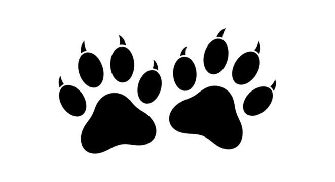 Minimalist paw prints outline design animal footprint graphic illustration digital art pet track vector isolated on transparent background - Powered by Adobe