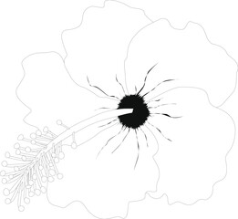 Beautiful hibiscus flower graphic illustration.